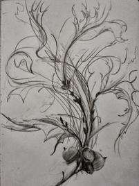 winter, pencil on paper, acorn, oak leaves